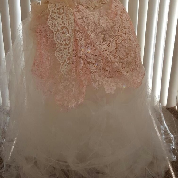 Blush Pink & Ivory Victorian Inspired Wedding Gown Set - Picture 4 of 7